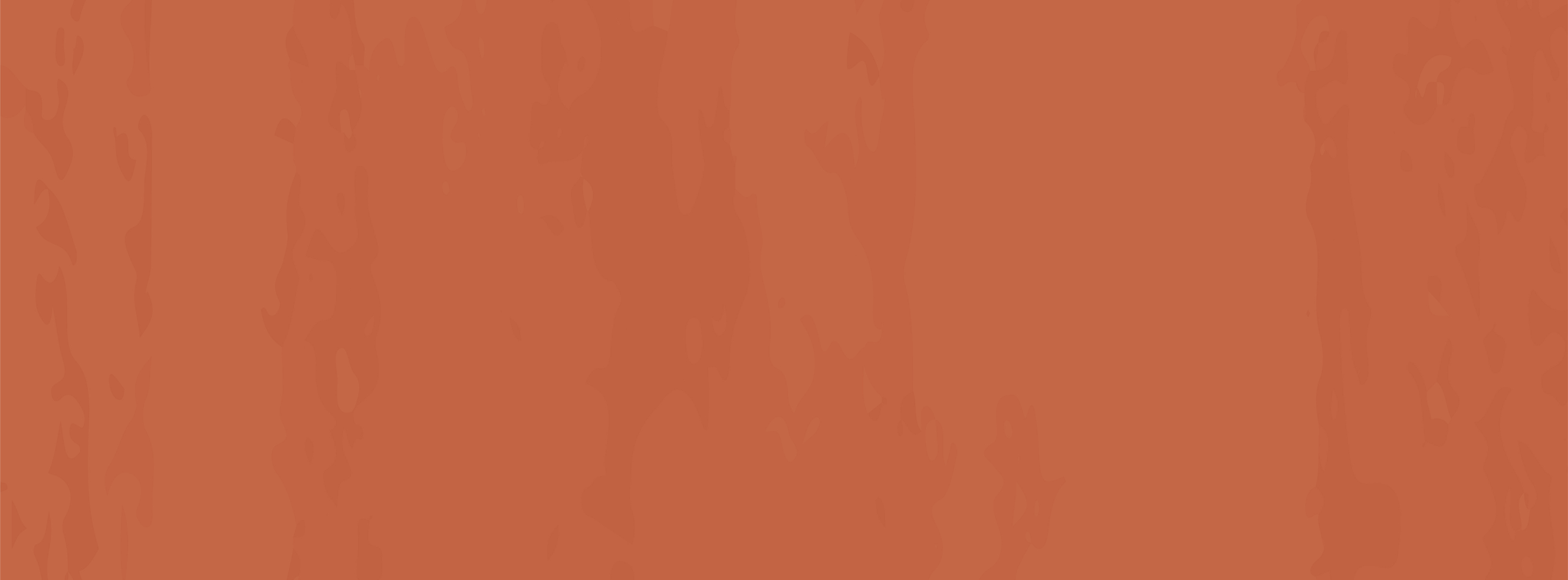 imagem da identidade visual